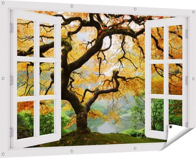 Gards Tuinposter Doorkijk Oude Knoestige Boom - 150x100 cm - Tuindoek - Tuindecoratie - Wanddecoratie buiten - Tuinschilderij