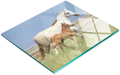 Decoratieve glazen keukensnijplank met afbeelding van een merrie met veulen, 60x52 cm