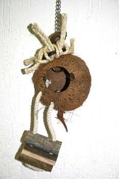 Coconut ladder