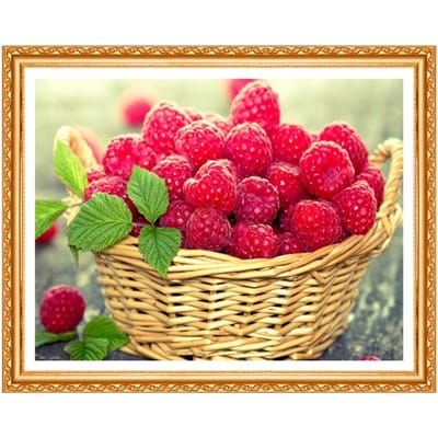 Broderie diamant 5D à faire soi-même, motif fruits, peinture diamant, point de croix, strass, décoration d'intérieur 20X30CM red