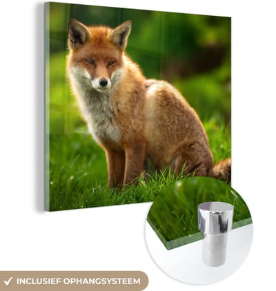 MuchoWow® Glasschilderij 90x90 cm - Schilderij acrylglas - Vos - Licht - Gras - Foto op glas - Schilderijen