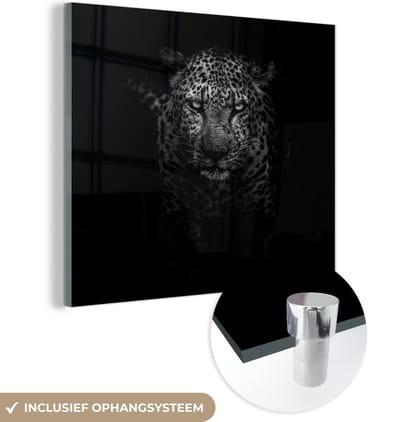 MuchoWow® Glasschilderij 50x50 cm - Schilderij acrylglas - Luipaard - Zwart - Wit - Foto op glas - Schilderijen