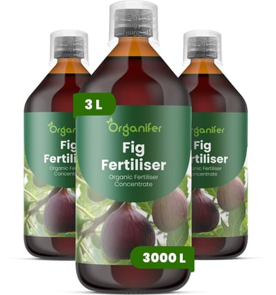 Vloeibare Meststof Voor Vijgen - 3X1 L Voor 3000 L - Npk 2-1-8 - Gezond Blad En Frui - Bevordert Groei En Fruitkwaliteit - Versterkt Het Wortelstelsel - Vergroot De Weerstand - Verhoogt De Algehele Vitaliteit - Organifer