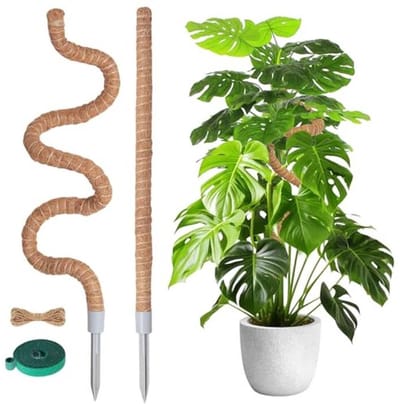 Dailygoods- Mospaal Buigbaar - Mospaal voor Monstera - 2 Stuks - 120 cm/60 cm - Planksteun - Duurzaam Materiaal - Plantsteun
