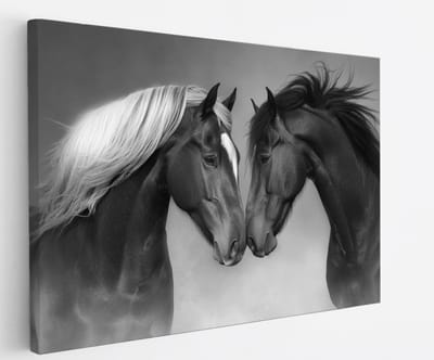 Saammp Canvas Schilderij - 2 Verliefde Paarden - Kunst - Dieren - Natuur - 60x40 - Foto op canvas - Wanddecoratie - muurdecoratie Woonkamer - Slaapkamer decoratie - Canvas Print