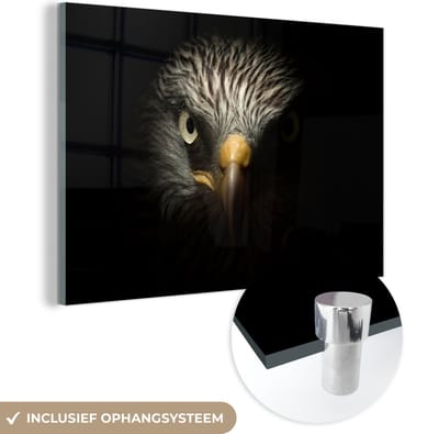 MuchoWow® Glasschilderij 150x100 cm - Schilderij acrylglas - Vogel - Adelaar - Roofvogels - Oog - Snavel - Licht - Foto op glas - Schilderijen