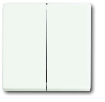 ABB Busch-Jaeger toekomstig Bedieningselement/Centrale Plaat Schakelmateriaal - 2CKA001751A3024 - E2QA7