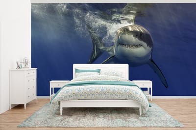 Behang - Fotobehang Haai onder water - Breedte 465 cm x hoogte 260 cm