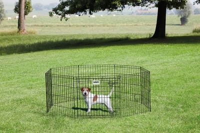 Savic Hondenpark 1 - Hondenren - Puppyren - Hondenkennel - Kleur: Zwart - 61x Ø160 cm