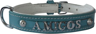 Hondenhalsband met naam van de hond - leder - lichtblauw - maat 65 cm