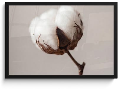 Poster in lijst - Fotolijst 60x40 cm - Posters - Katoenbol - Minimalistisch - Wit - Posterlijst zwart - Decoratie - Wanddecoratie woonkamer - Muurdecoratie slaapkamer