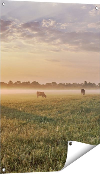 Gards Tuinposter Koeien in de Wei tijdens Zonsopkomst - 60x90 cm - Tuindoek - Tuindecoratie - Wanddecoratie buiten - Tuinschilderij