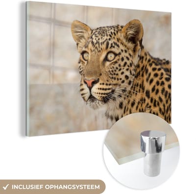 MuchoWow® Glasschilderij 60x40 cm - Schilderij acrylglas - Luipaard - Macro - Bruin - Foto op glas - Schilderijen