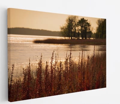 Saammp Canvas Schilderij - Water - botanisch - Landschap - Natuur - 45x30 - Foto op canvas - Wanddecoratie - Muurdecoratie Woonkamer - Slaapkamer decoratie - Canvas Print