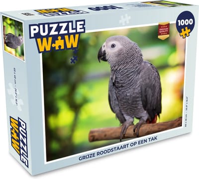 Puzzel Grijze roodstaart op een tak - Legpuzzel - Puzzel 1000 stukjes volwassenen