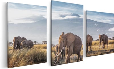 Artaza Canvas Schilderij Drieluik Groep Olifanten Lopen Voor De Bergen - 120x60 - Foto Op Canvas - Canvas Print