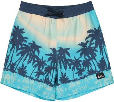 Quiksilver Everyday Printed Volley 14´´ Zwembroek Blauw 12 Years Jongen