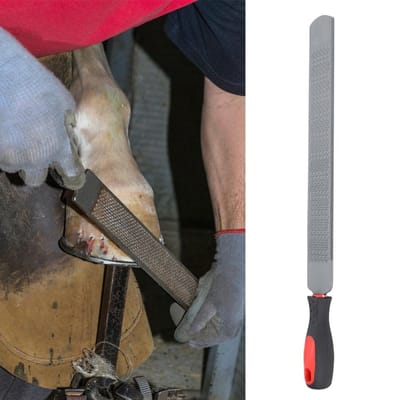 Râpe de maréchal-ferrant double face pour cheval, outil de parage de sabot, ferrure, accessoires d'équitation gray