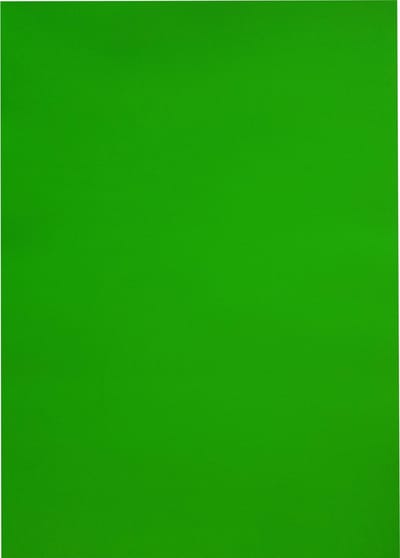 A4 Laserprinter etiketten - 210 x 297 mm rechthoek - groen radiant - 100 vel per doos