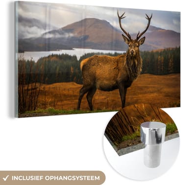 MuchoWow® Glasschilderij 40x20 cm - Schilderij acrylglas - Hert - Berg - Water - Landschap - Dieren - Bomen - Foto op glas - Schilderijen