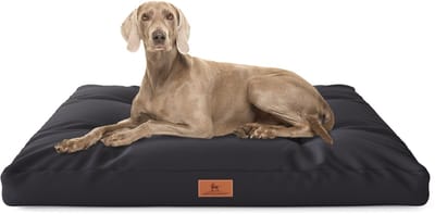 Knuffelwuff hondenkussen Gatsby van Oxford-stof 75x50 cm zwart