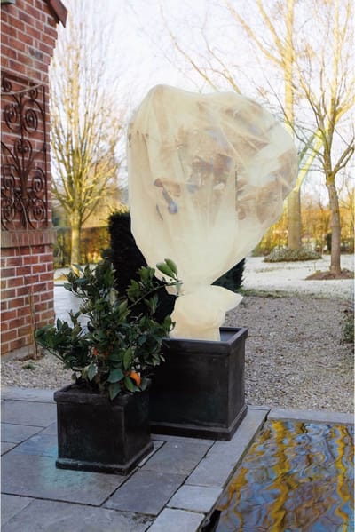 2x stuks nature plantenhoes xl - 5 x 2 meter - beige - anti-vorst planten beschermhoes - 500 x 200 cm