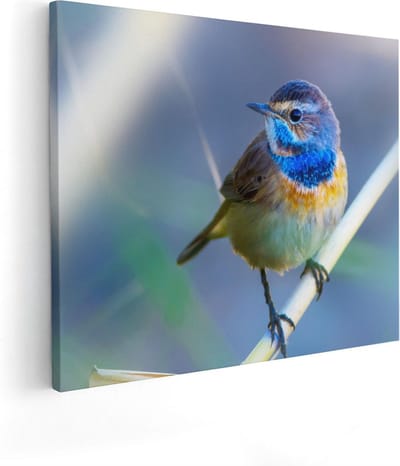 Artaza Canvas Schilderij Vogel - 100x80 cm - Groot - Wanddecoratie Vogels - Muurdecoratie Natuur - Schilderijen Op Canvas Woonkamer