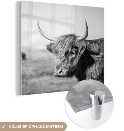 MuchoWow® Glasschilderij 50x50 cm - Schilderij acrylglas - Schotse Hooglander - Dieren - Zwart - Wit - Foto op glas - Schilderijen