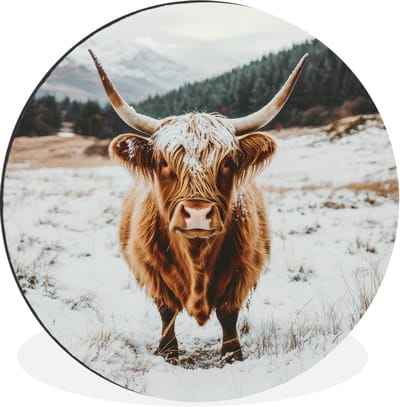 WallCircle - Wandcirkel - Muurcirkel - Schotse Hooglander - Landschap - Sneeuw - Bergen - Winter - Aluminium - Dibond - 30x30 cm - Binnen en Buiten