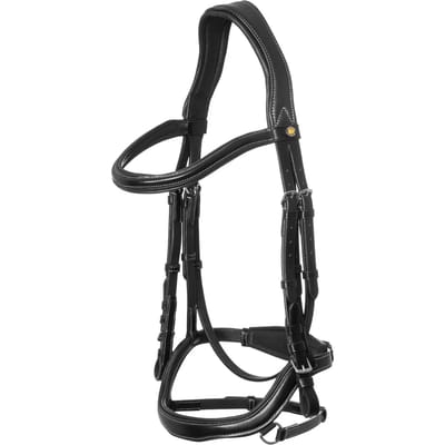 Anatomische hoofdstellen Equestro