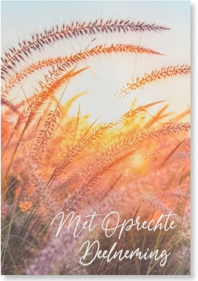 Cards & Crafts Condoleancekaart - Met Oprechte Deelneming Wenskaart - 12 x 17 cm - gevouwen kaart Inclusief envelop