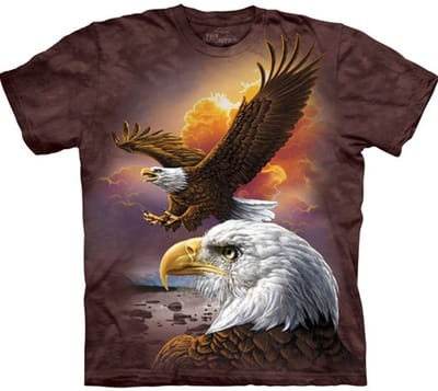 T-shirt Eagle & Clouds S