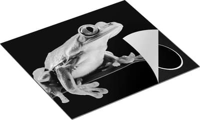Chefcare Inductie Beschermer Kikker op een Plant - Zwart Wit - 60x50 cm - Afdekplaat Inductie - Kookplaat Beschermer - Inductie Mat
