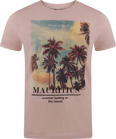 riverso Heren T-Shirt RIVLukas regular fit Roze S Ronde Hals Volwassenen - gemaakt van 100% katoen