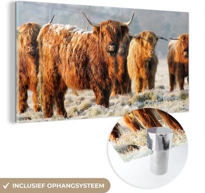 MuchoWow® Glasschilderij 40x20 cm - Schilderij acrylglas - Schotse Hooglanders - Sneeuw - Bos - Foto op glas - Schilderijen