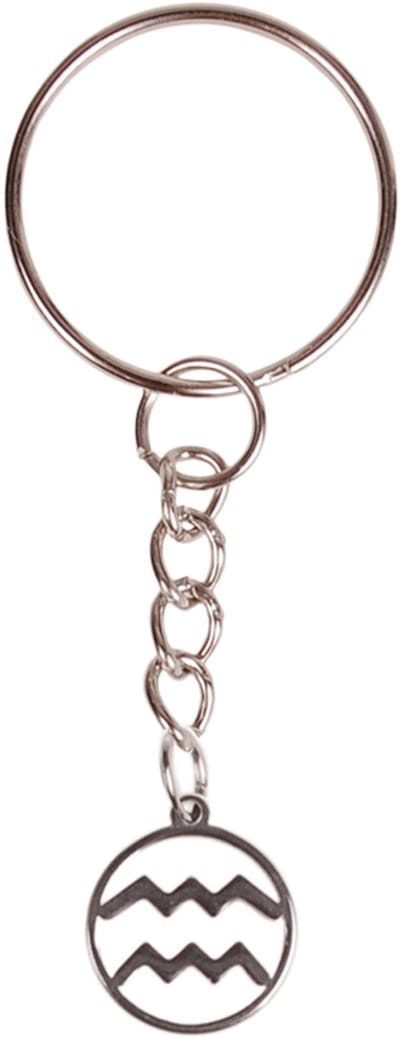 Sleutelhanger/Tashangertje - Zilverkleurige Sleutelring - hanger sterrenbeeld Waterman