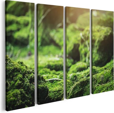 Artaza Canvas Schilderij Vierluik Groen Mos Bedekt over Stenen - 80x60 - Foto Op Canvas - Canvas Print