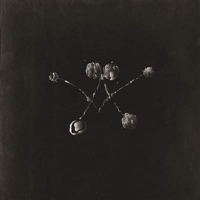 Waterstrider - Nowhere Now (LP)