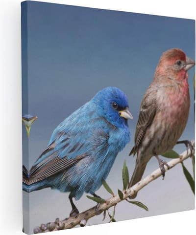 Artaza Canvas Schilderij Vogels Op Tak - 80x80 cm - Wanddecoratie Kleurrijke Vogels - Muurdecoratie Woonkamer - Schilderijen Op Canvas