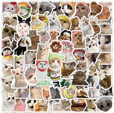 Leuke kattensticker set, schattige en Kawaii stickers, waterdichte vinyl stickers voor kattenliefhebbers, ideaal voor laptops en mobiele telefoons, kleurrijk en duurzaam