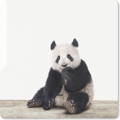 Muismat 20x20 cm - Mousepad Dieren - Panda - Zwart - Wit - Muismatten