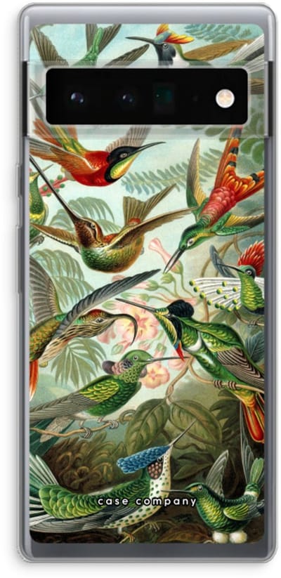 Case Company® - Hoesje geschikt voor Google Pixel 6 Pro hoesje - Haeckel Trochilidae - Soft Cover Telefoonhoesje - Bescherming aan alle Kanten en Schermrand