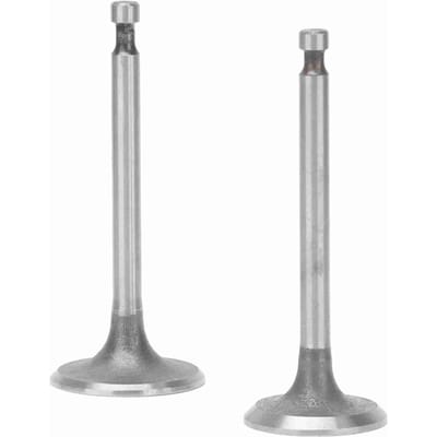 2 STUKS Inlaat Uitlaat Klep Assemblage voor CFMOTO CF188 CF500 ATV 500CC 2.5?3,5 kW Benzine Motor Onderdelen white