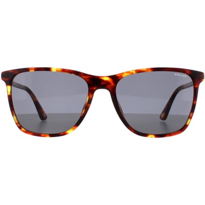 Police SPLD45 Origins 46 08XW medium shiny havana grijs groene zonnebril