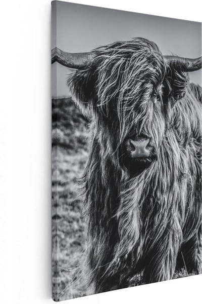 Artaza Canvas Schilderij Schotse Hooglander - 80x120 cm - Groot - Wanddecoratie Woonkamer - Muurdecoratie Dieren - Zwart Wit