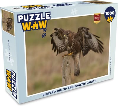 Puzzel Buizerd die op een paaltje landt - Legpuzzel - Puzzel 1000 stukjes volwassenen