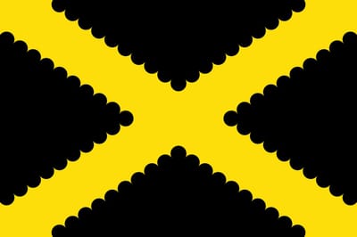 Vlag Dessel 150x225cm