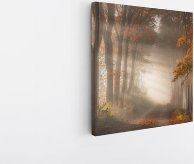 Saammp Canvas Schilderij - Bospad met zonneschijn - Nederland - Landschap - Natuur - 20x20 - Foto op canvas - Wanddecoratie - Muurdecoratie Woonkamer - Slaapkamer decoratie - Canvas Print