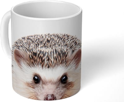 Mok - Koffiemok - Egel - Dieren - Natuur - Wit - Mokken - 350 ML - Beker - Koffiemokken - Theemok