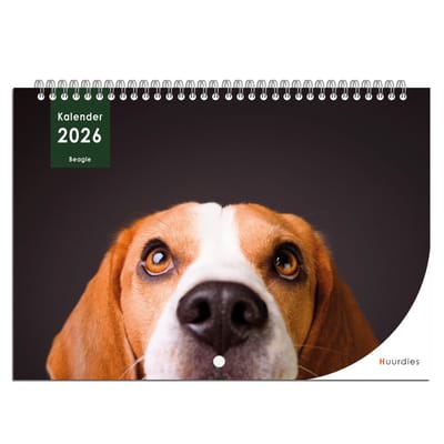 Huurdies - kalender 2026 - Beagle - A4